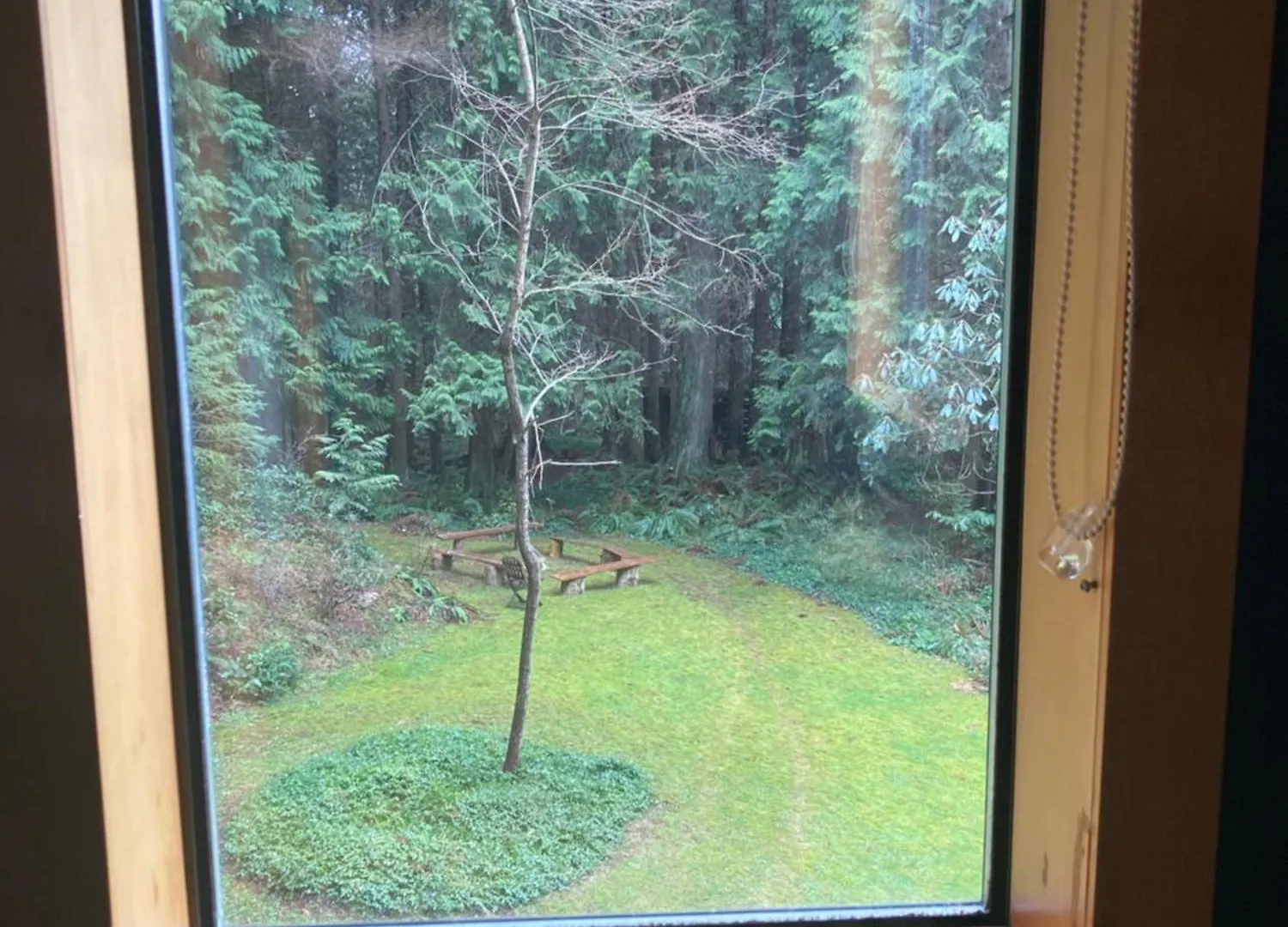 Forest Haven Hideaway Roberts Creek